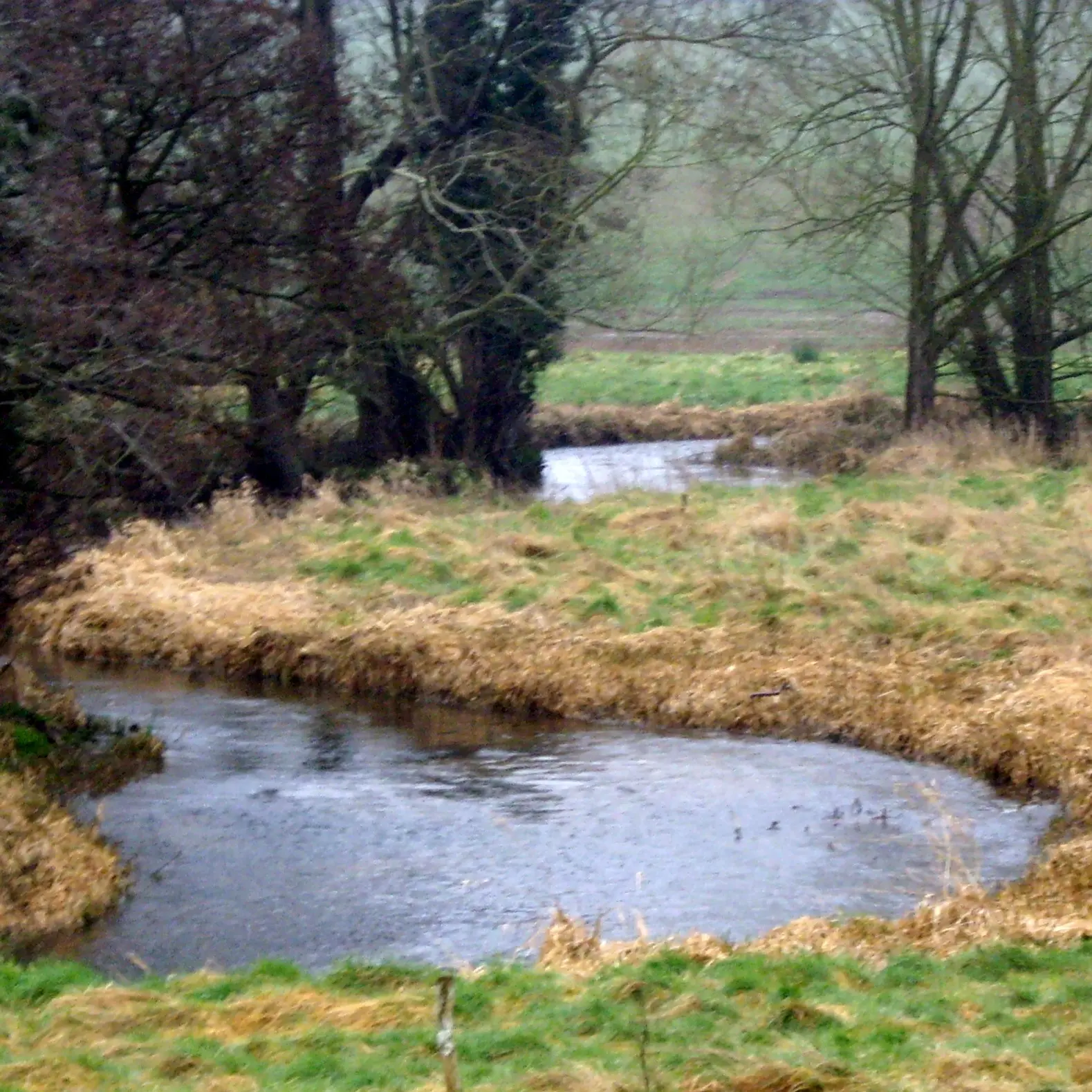 Mobirise
